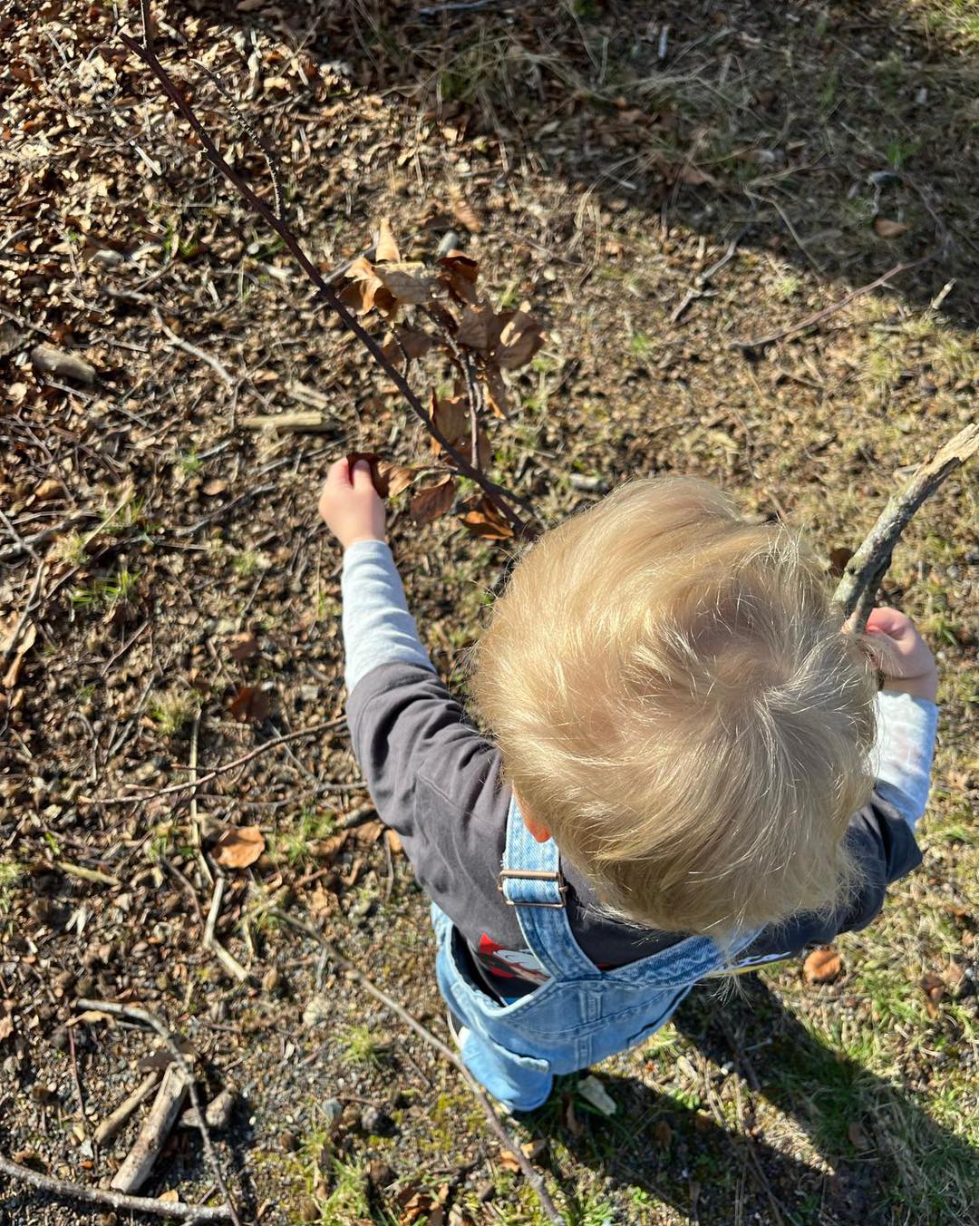 Learning Through Nature: Mini Moons’ Home Learning Journey