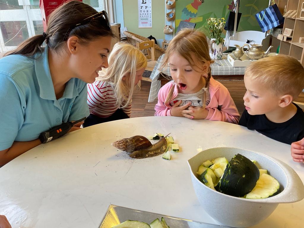 From One Courgette to a World of Learning