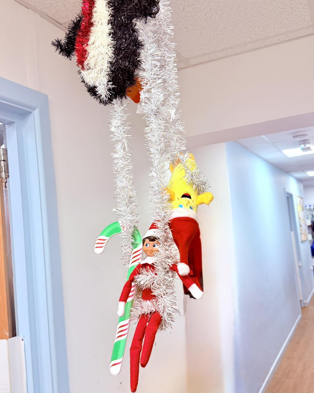 Our Cheeky Christmas Elves Have Arrived!