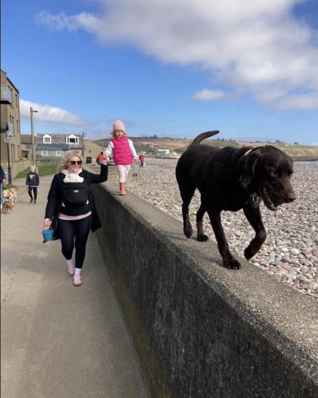 Celebrating National Love Your Pet Day