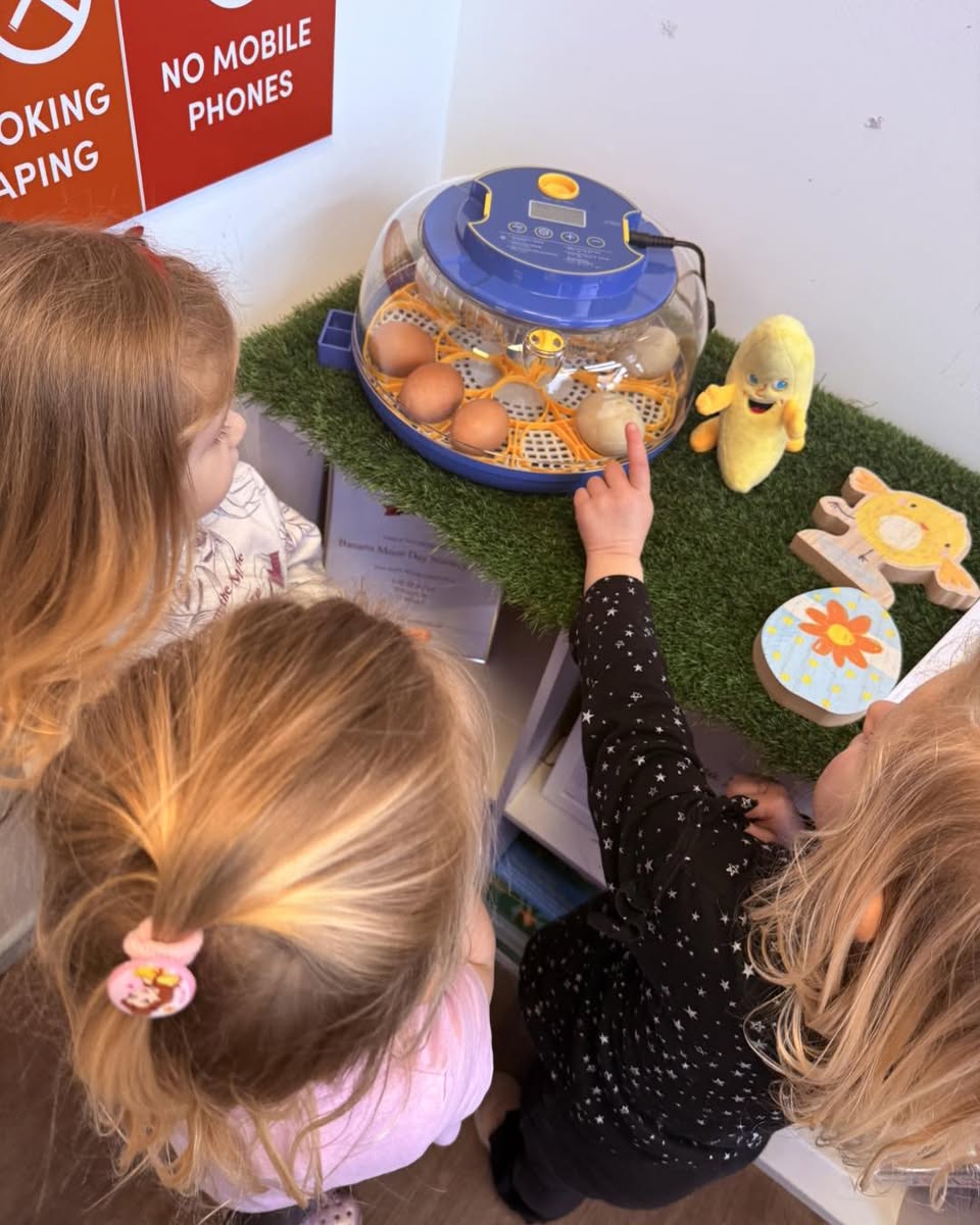 Our Nursery Egg Hatching Project Begins