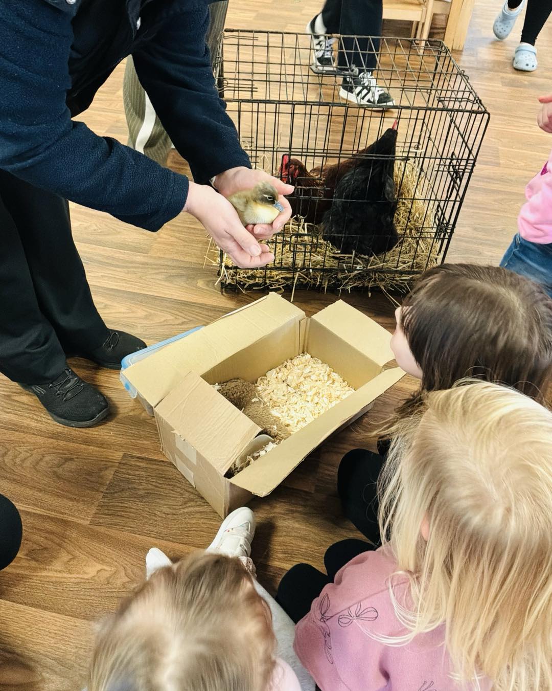 A Special Visit Brings Our Hatching Project to Life