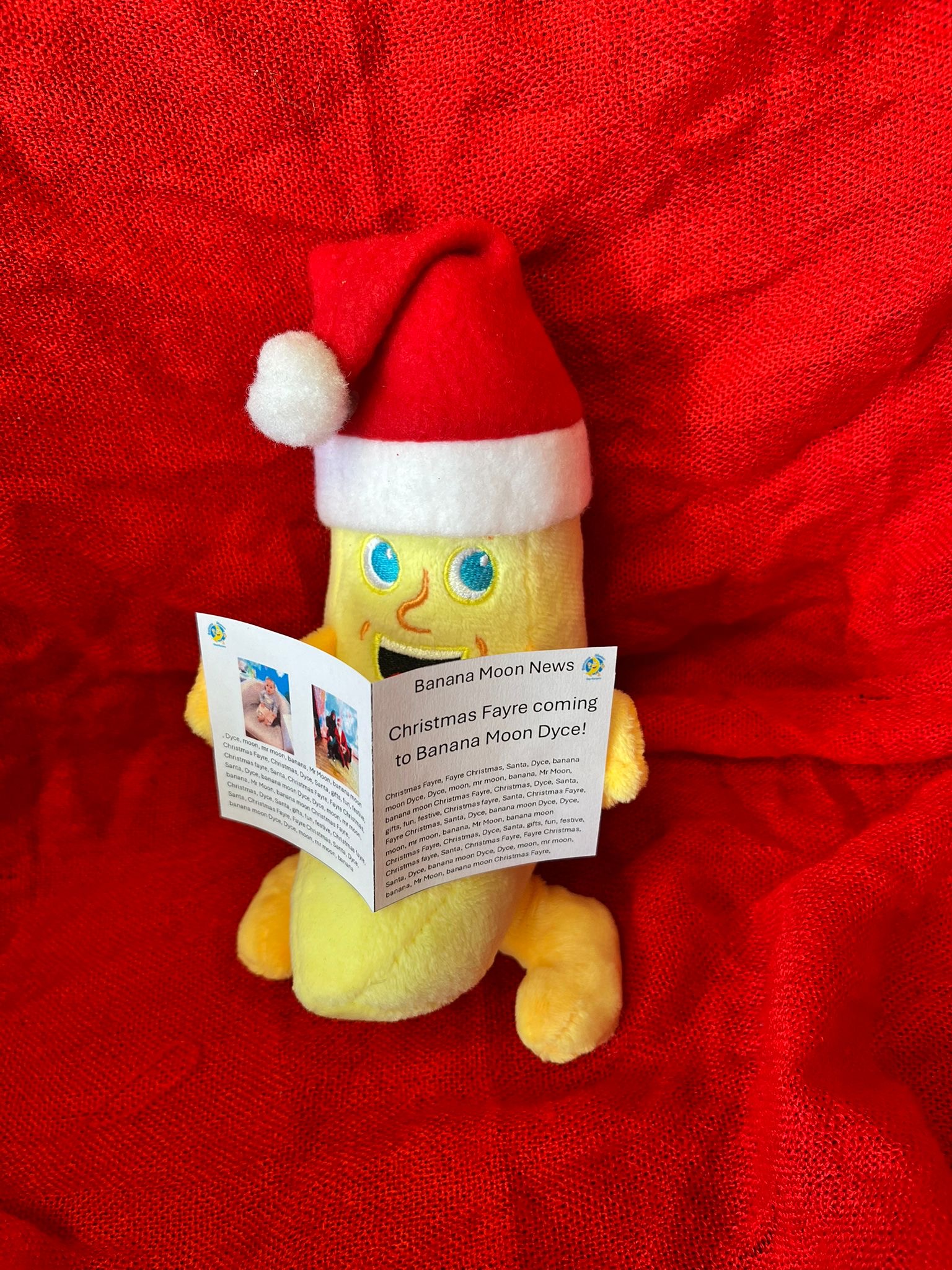 Merry Moon Christmas Fayre – Banana Moon Dyce ✅