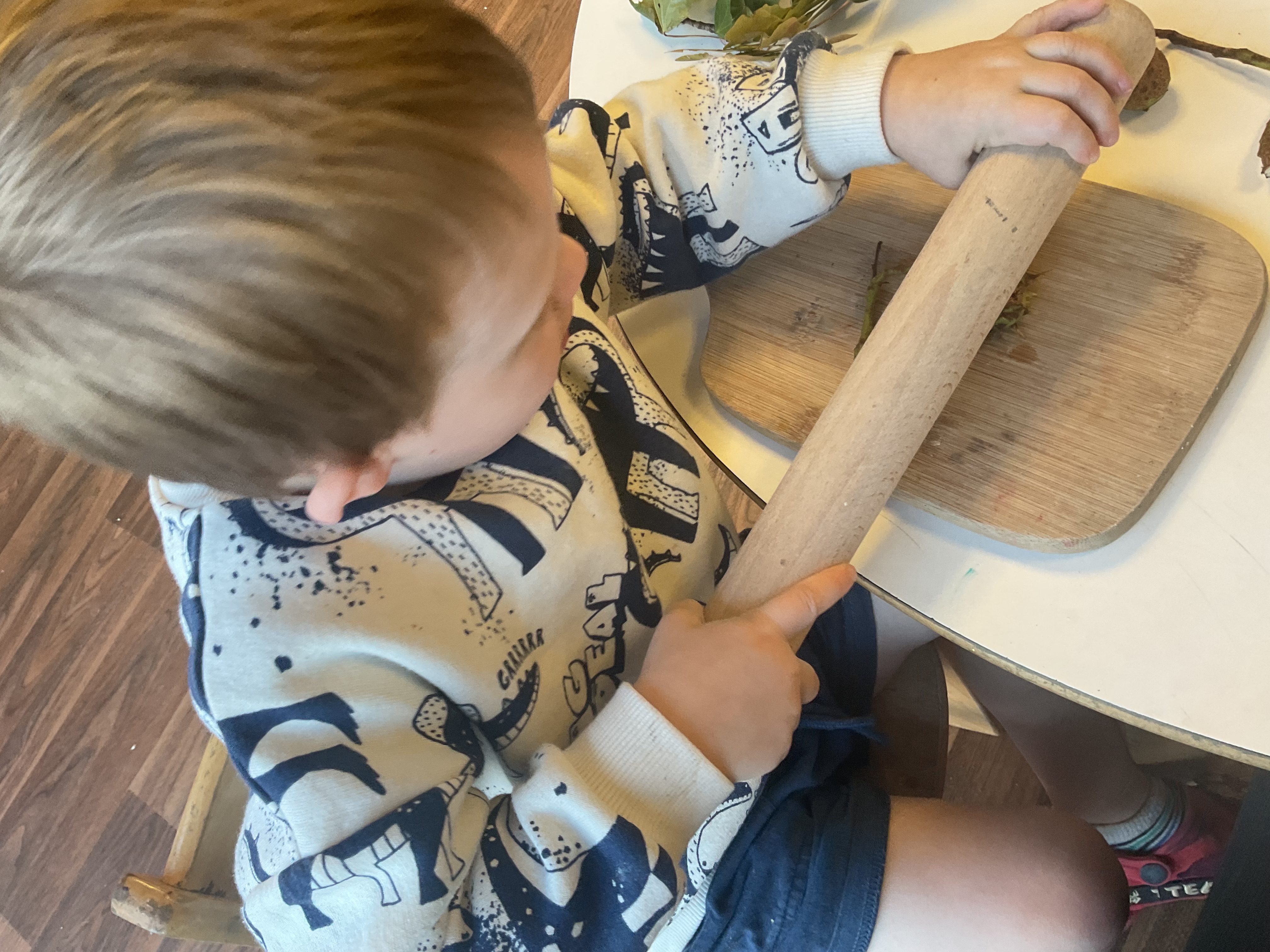 Curiosity in Action: Exploring Nature in Full Moons