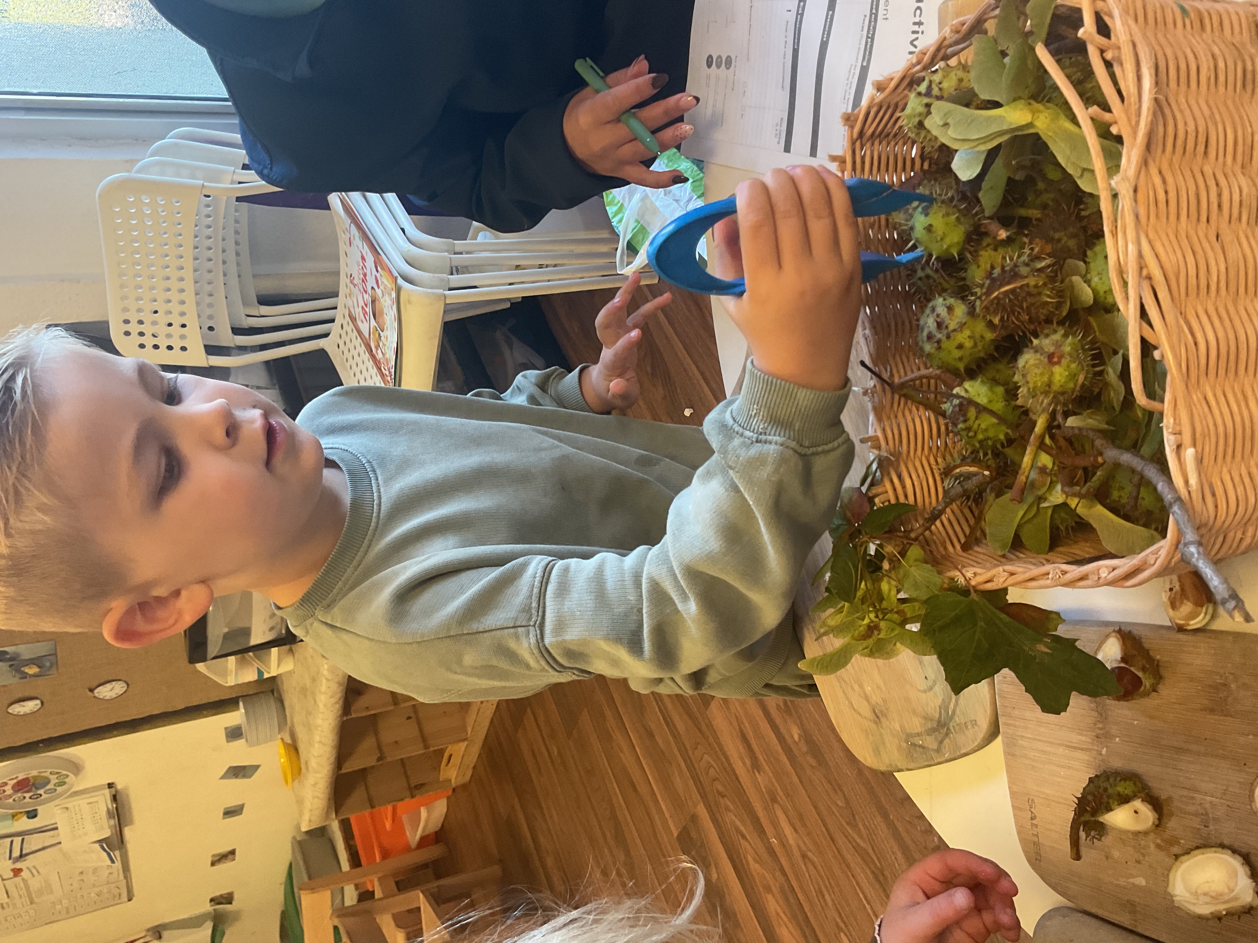 Curiosity in Action: Exploring Nature in Full Moons