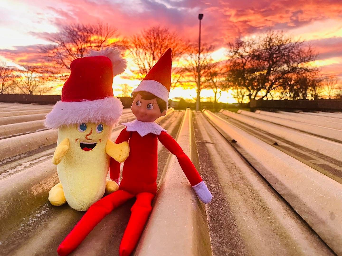 🎄 Banana Moon Dyce Christmas Fayre – Save the Date!