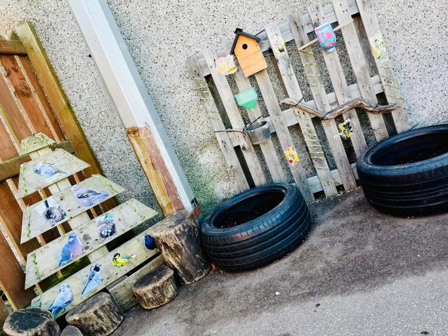 Who Will Visit First? 🐦 Our New Bird-Watching Garden Is Ready!