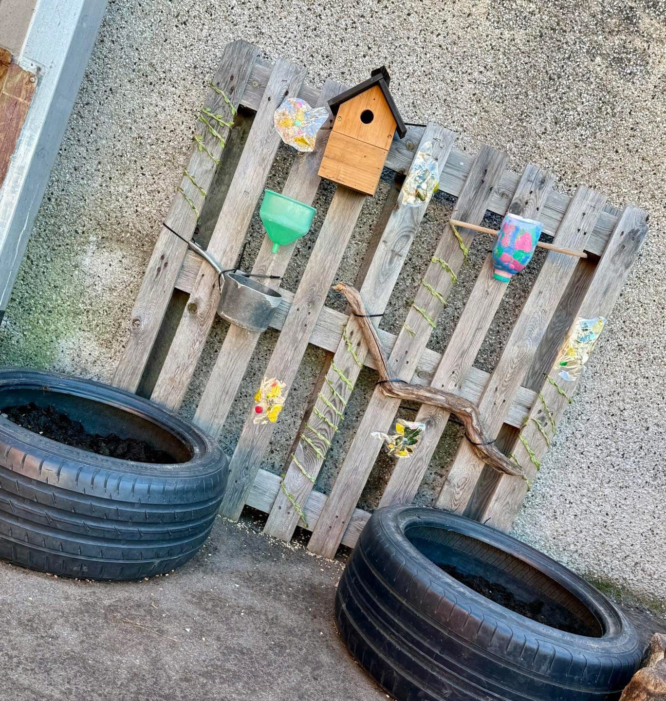 Who Will Visit First? 🐦 Our New Bird-Watching Garden Is Ready!